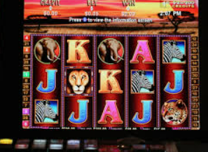 333体育电脑免费版